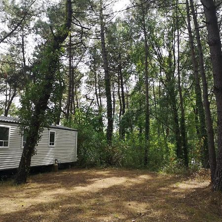 Le Ilo - Camping La Dune Blanche Camiers Exterior photo